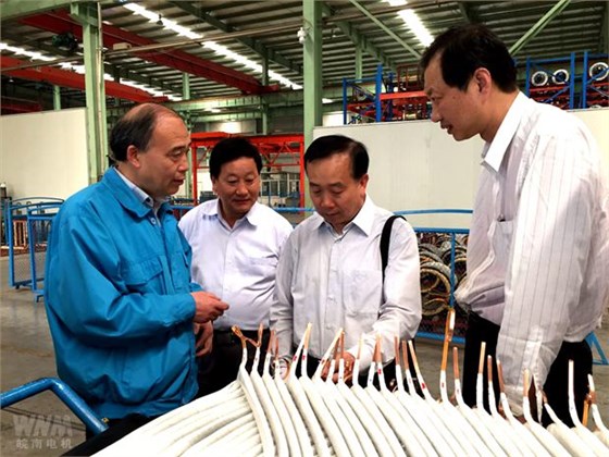 全國總工會領導來皖南電機調(diào)研 全國總工會領導來皖南電機調(diào)研