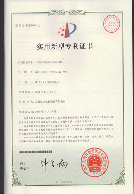 皖南電機(jī):大軸向力電機(jī)的軸承結(jié)構(gòu)|電機(jī)專利|電動(dòng)機(jī) 皖南電機(jī):大軸向力電機(jī)的軸承結(jié)構(gòu)|電機(jī)專利|電動(dòng)機(jī)