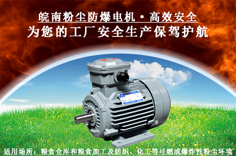 粉塵防爆電機(jī) 粉塵防爆電機(jī)