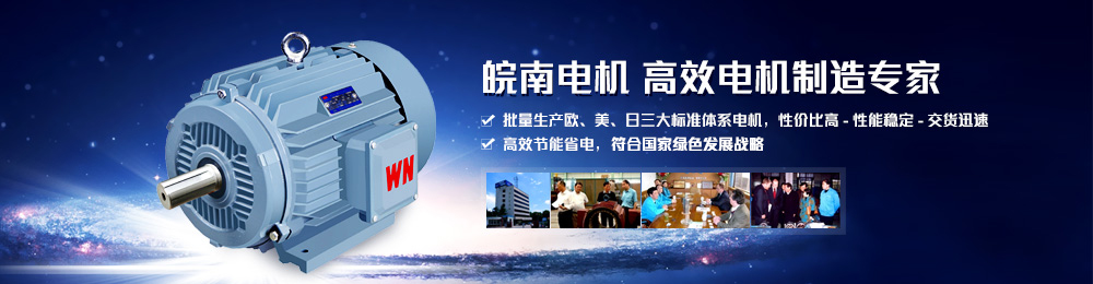 電機生產(chǎn)廠家 電機生產(chǎn)廠家