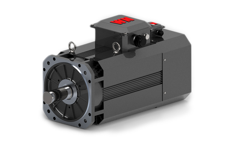 YHS系列高性能異步伺服電動(dòng)機(jī) YHS系列高性能異步伺服電動(dòng)機(jī)